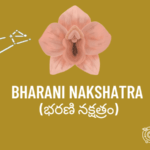 Bharani Nakshatra Horoscope Nature, Characteristics, Career, Job, Health & other details
